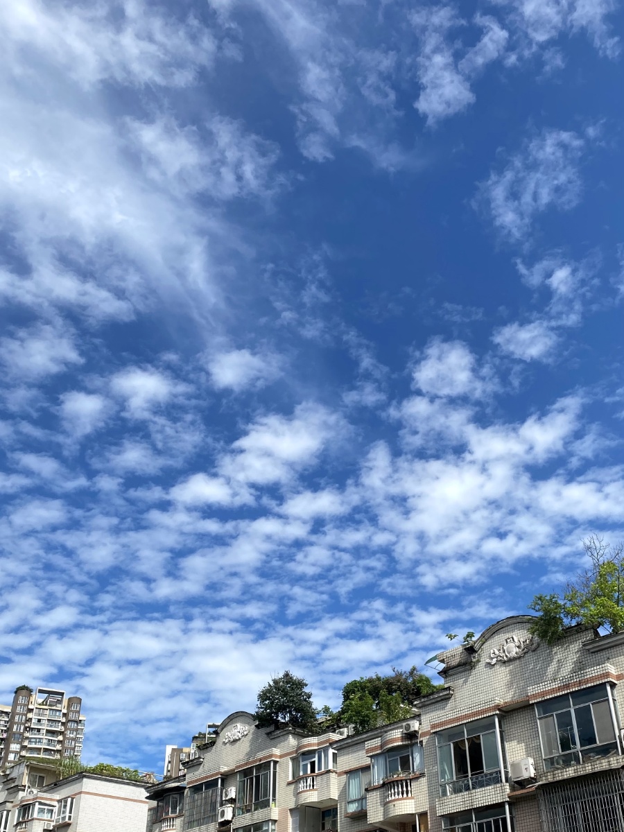 九九艳阳天