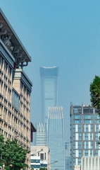 1000071290