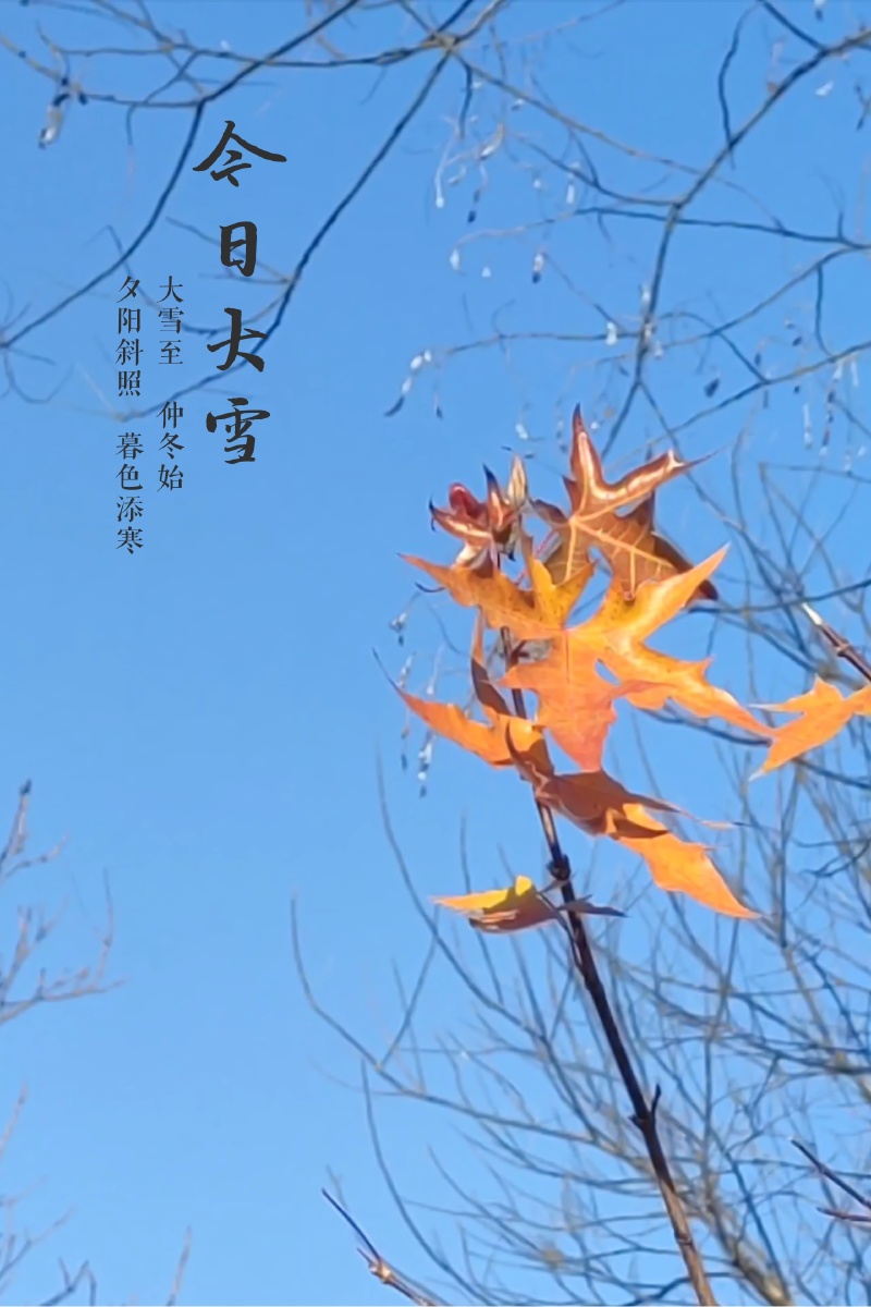 今日大雪节气兆雪兆丰年