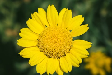 642642