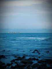 8B3F0E50-900B-4B62-B3CE-09C216E60630/L0/001