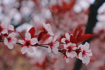 7BCD9156-90CA-472F-934A-7631C97D30D7/L0/001