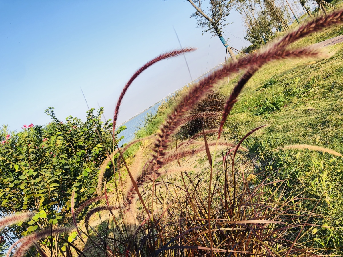 长路漫漫未来可期