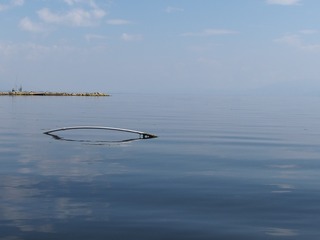 255364