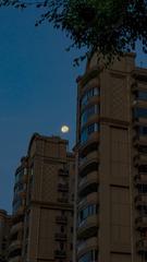 1000016903