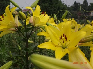 957016