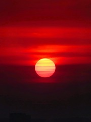 5F5101B5-7716-4CB7-A208-B146A08BAAF5/L0/001