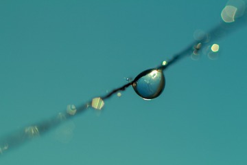 20200531-IMG_2464