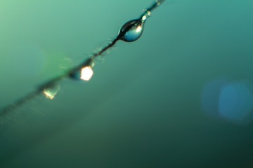20200531-IMG_2458