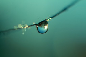 20200531-IMG_2460