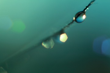 20200531-IMG_2456