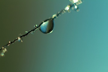 20200531-IMG_2462