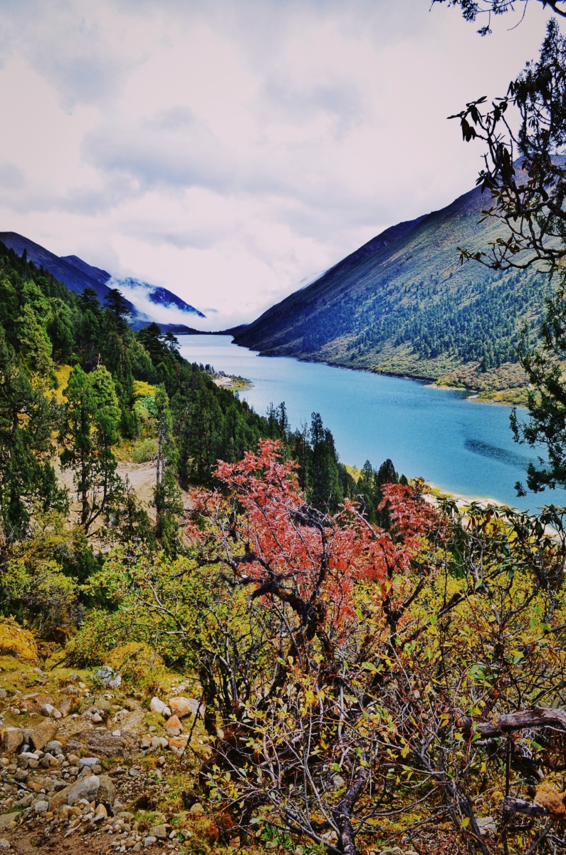 西藏林芝鲁朗秋色鲁朗藏语意为龙王谷也就是神仙居住的地方