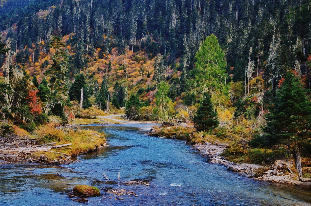 西藏林芝鲁朗秋色,鲁朗藏语意为龙王谷,也就是神仙居住的地方.