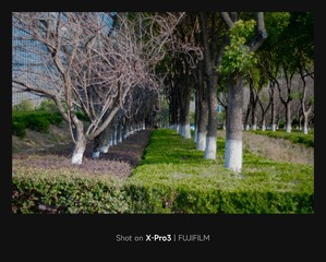C2E8F415-C4E3-401E-8895-3B62FDB0977F/L0/001