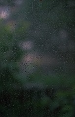 00247D0C-012D-4806-B1E2-EB55878C5D9B/L0/001