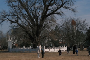 3C14F055-42A8-4CAE-83BD-61363D002251/L0/001