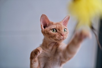 3F0E71FF-3DD1-4EC0-A892-F248109673FB/L0/001