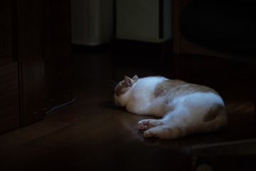 001