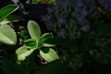 02A68456-450F-4AC5-B2E9-5EF88774177F/L0/001