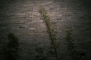 72013989-9175-442D-8F8D-3A1F44A85A83/L0/001