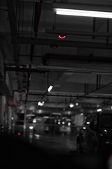 162890C7-158E-4E99-93A6-3D189E1F36A2/L0/001