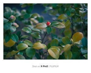 C943EB10-0E15-4E94-9FAA-0BC0398F1BE7/L0/001