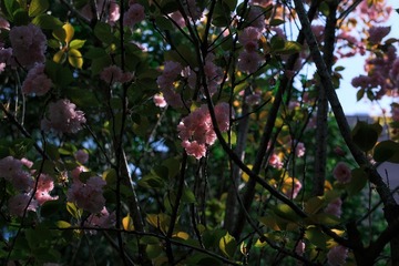 8DB62FE2-1709-4D1A-BA56-6D99F2F5CBC2/L0/001