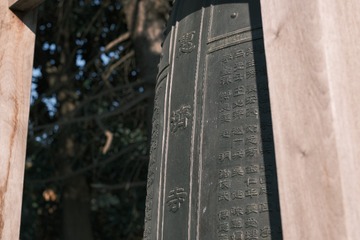 E8E0C6E5-CCD1-416B-8275-455BD81DC8D9/L0/001