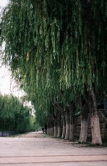 9A73AC18-C45C-4377-B665-31C1802AB0D6/L0/001