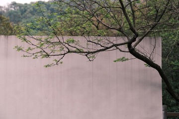 72739C5D-0FF3-48A6-85B9-ED3971AE1032/L0/001