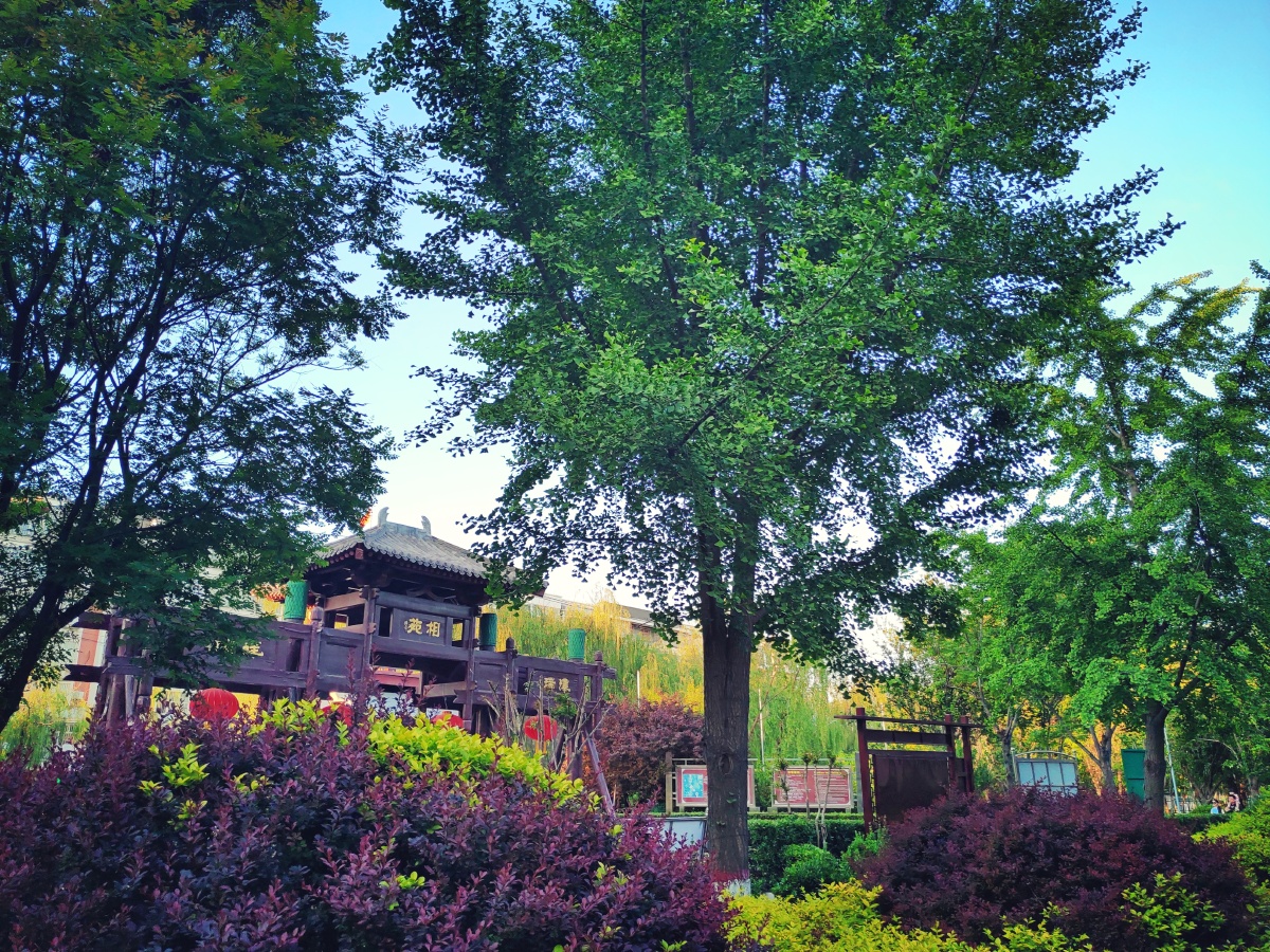 魏征公园坐落于河北省晋州市是大唐名相魏征的故里