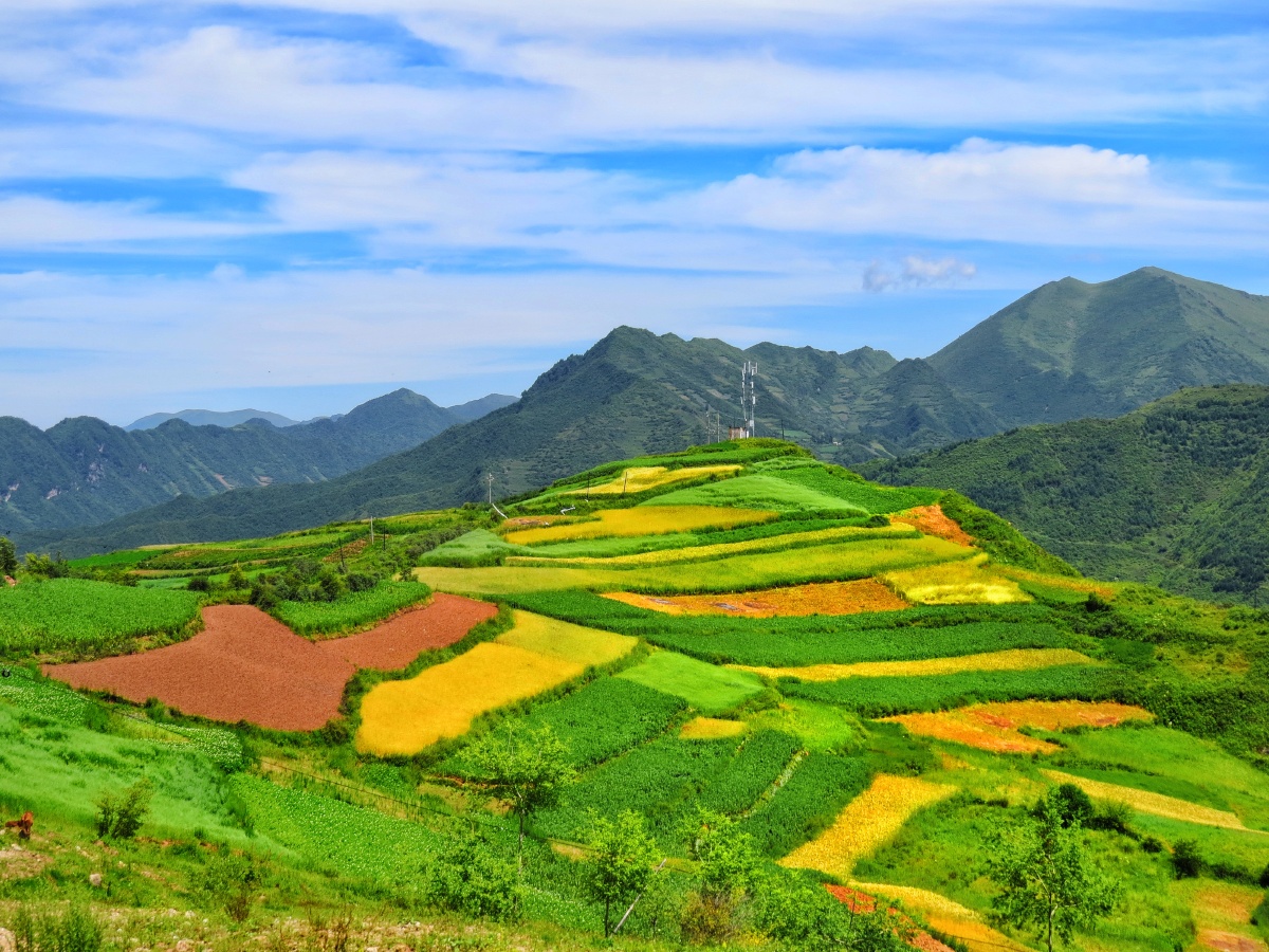 陇南市武都区马营镇的风景
