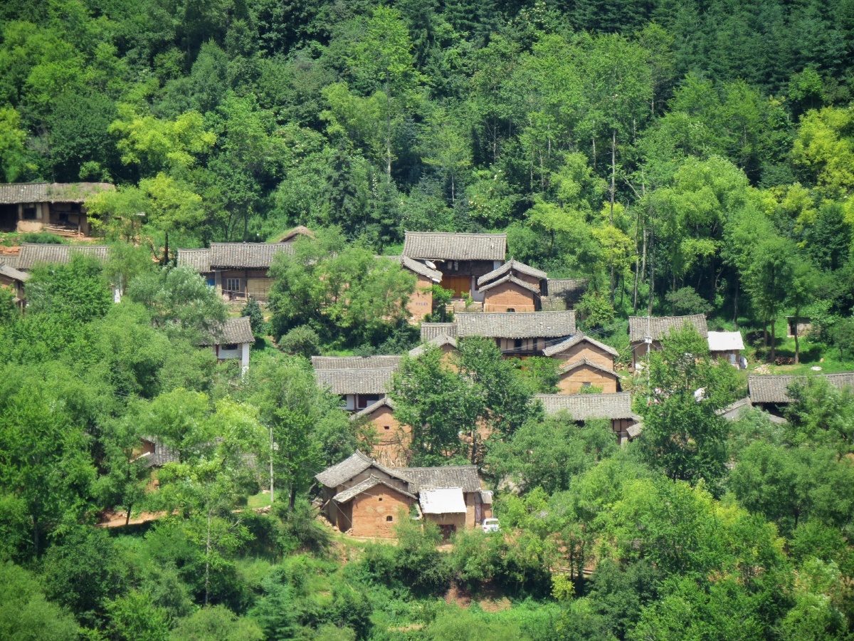 陇南市武都区马营镇的风景