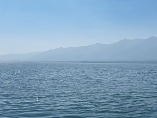 8416B03D-11D5-42A6-98A5-CCC0B9129439/L0/001