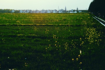 21DD9383-BB48-4D2B-961A-6D8F60224BD1/L0/001