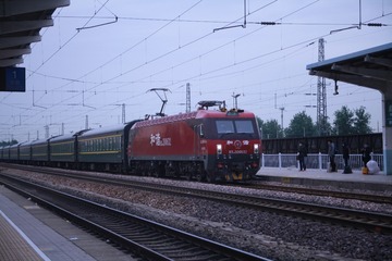 2600239