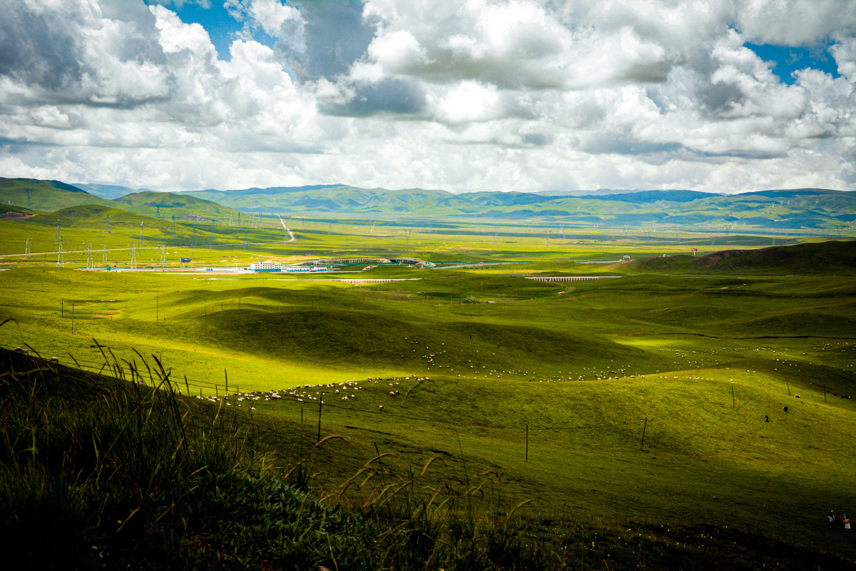 美丽的草原我的家