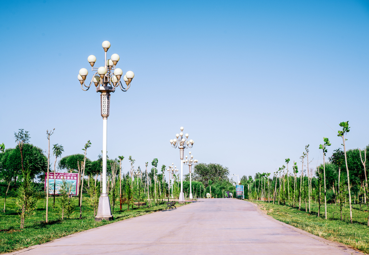 伽师县胡杨公园