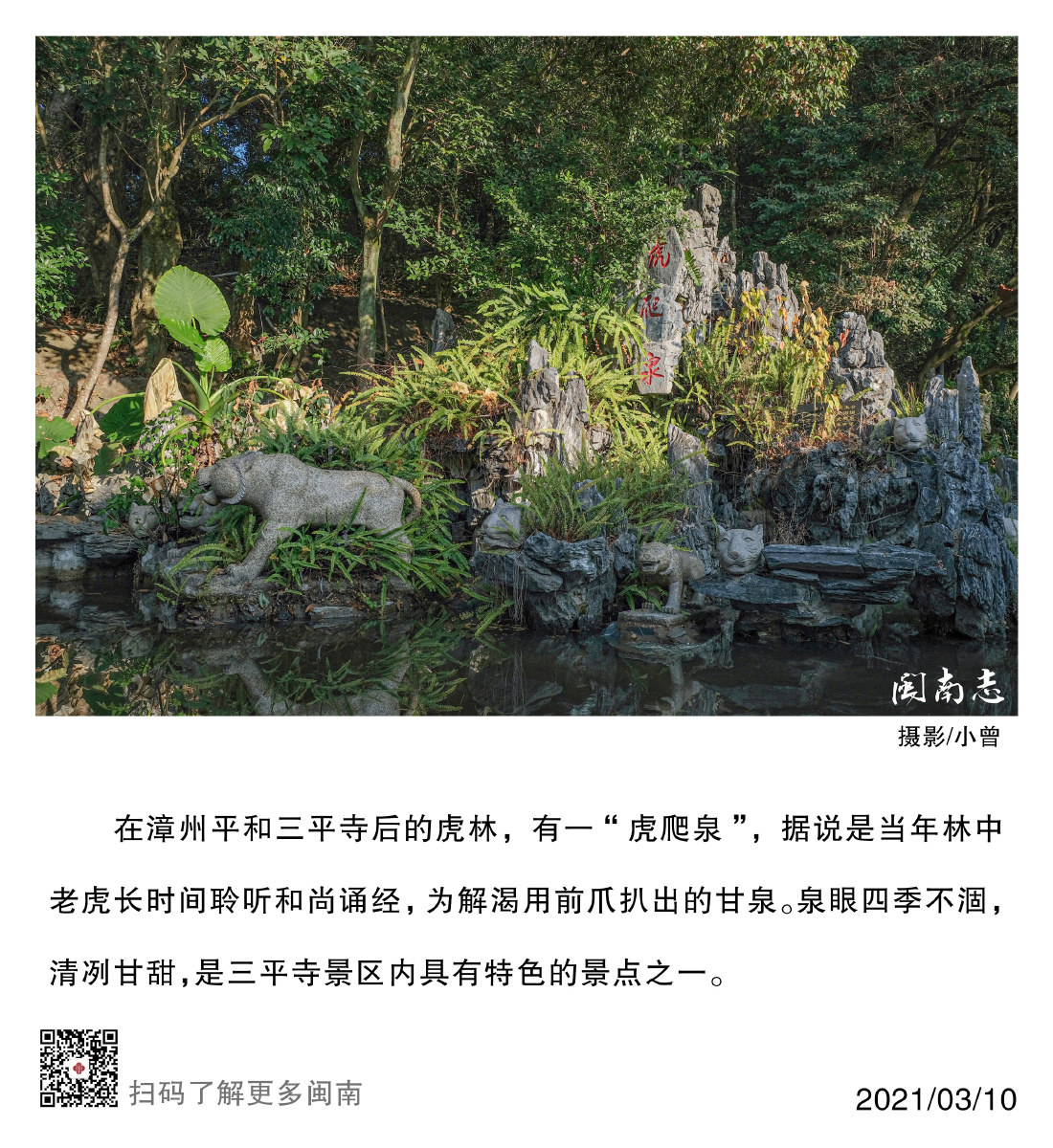 在漳州平和三平寺后的虎林有一虎爬泉据说是当年林中老虎长时间聆听