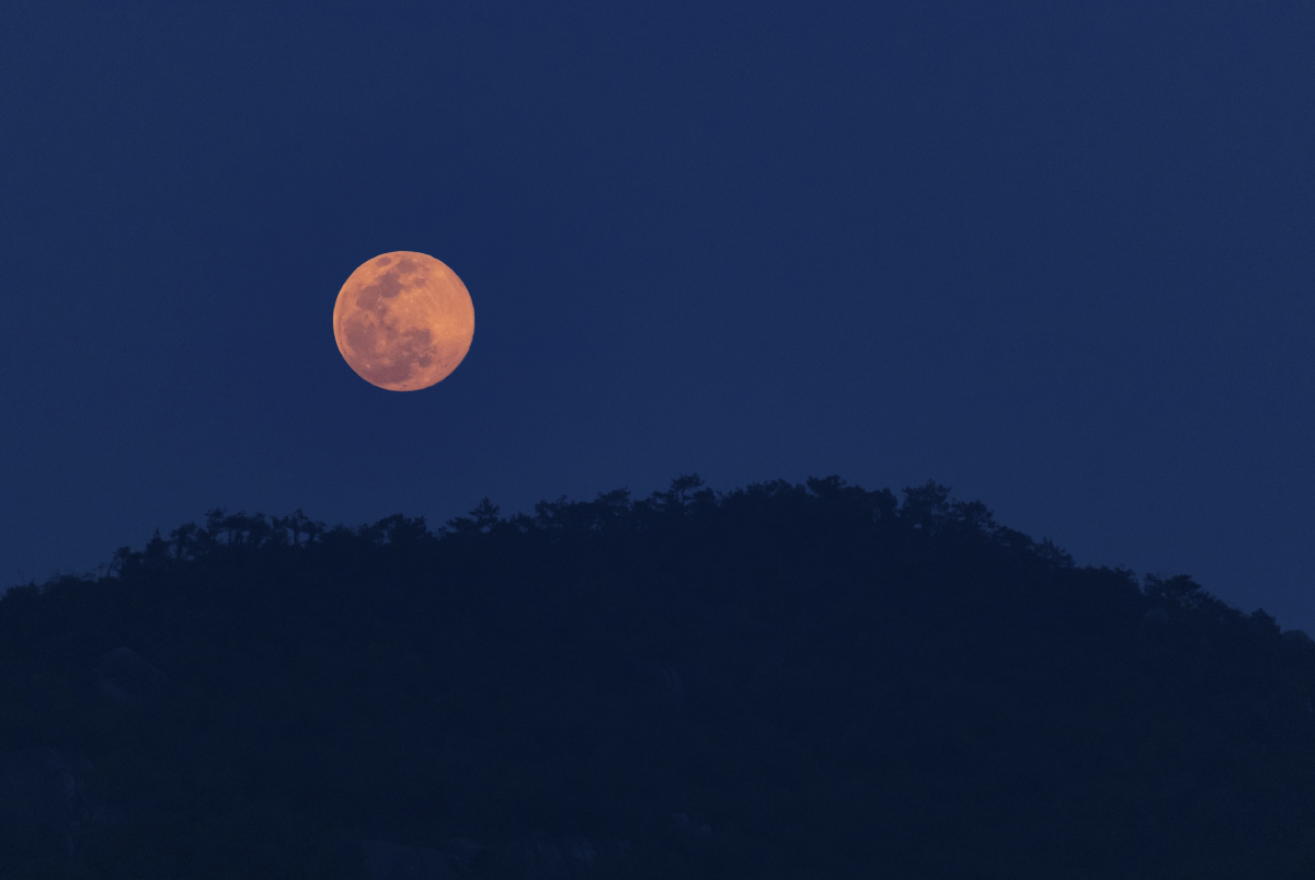 晚风踩着云朵月亮在贩卖快乐