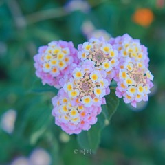 2B637EEF-4D54-45FC-83EE-3D094852CCE7/L0/001