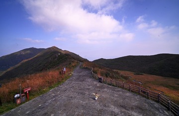 220021