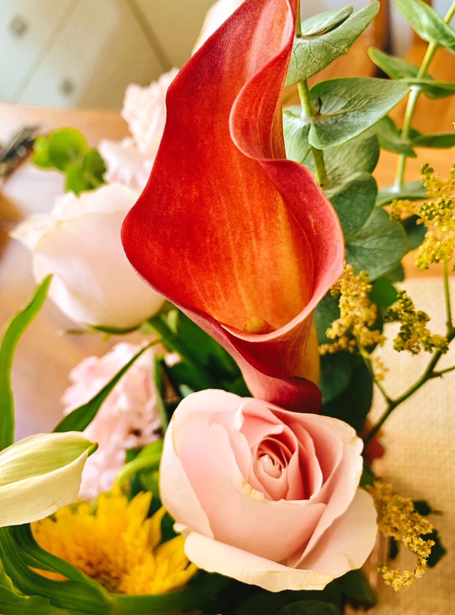 狮子座开运花光羽柔心