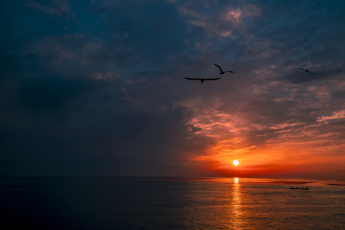 最美的景色往往是那一瞬间的捕捉夕阳西下恬静的海面之上一群海鸥飞过