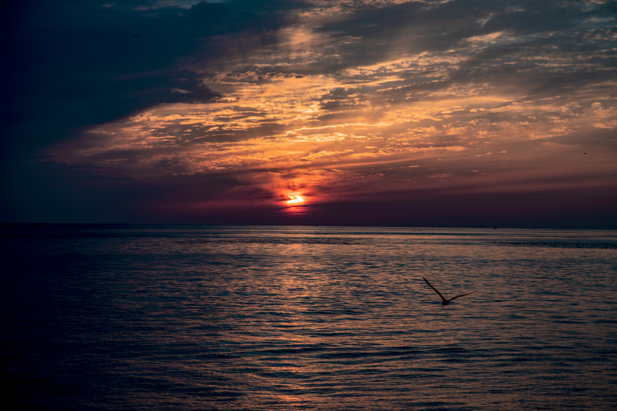 最美的景色往往是那一瞬间的捕捉夕阳西下恬静的海面之上一群海鸥飞过