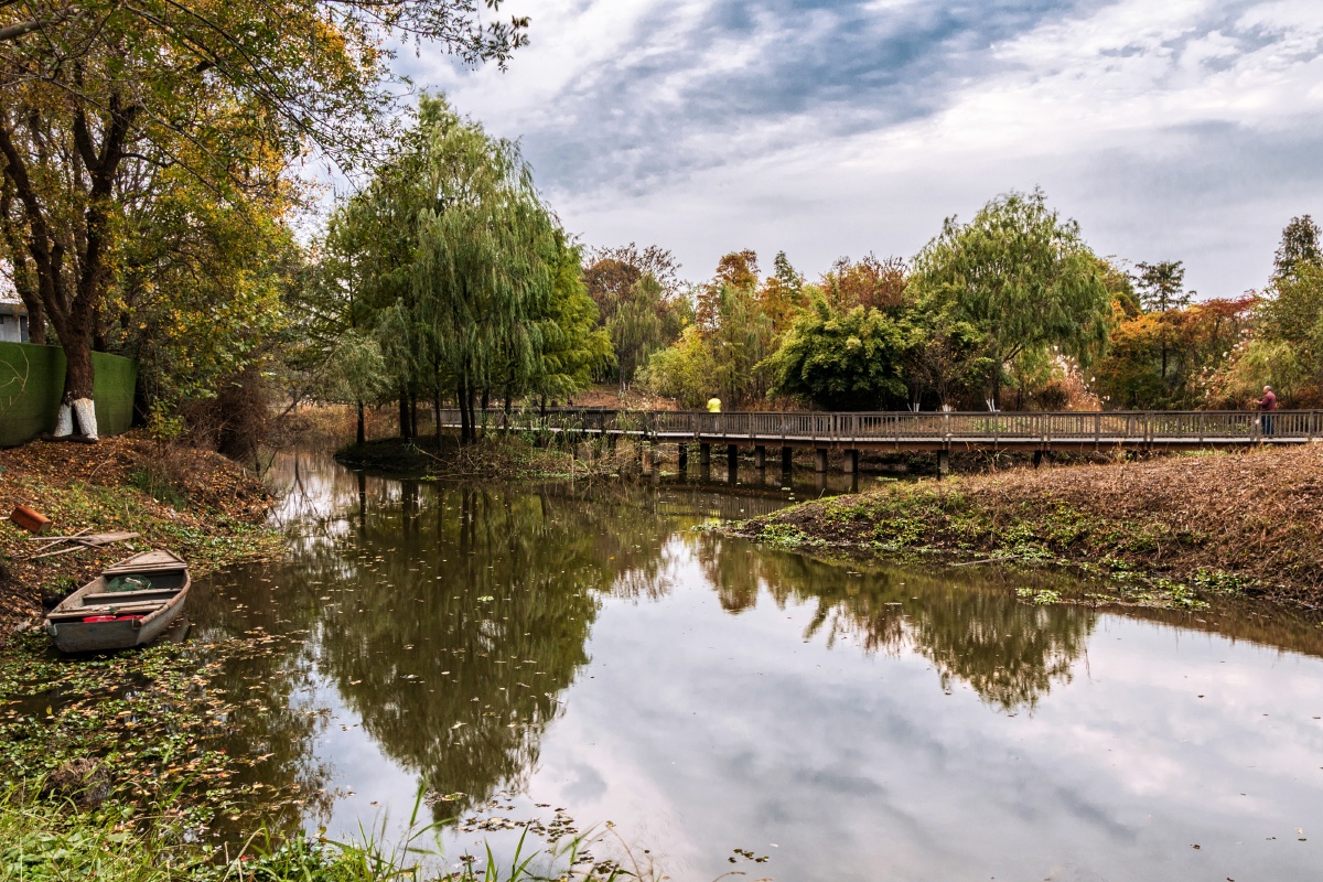 南京七桥瓮湿地公园的斑斓秋色