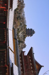 _MG_9619-01