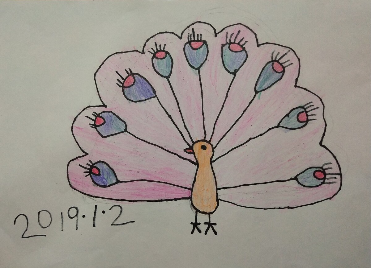 小学生绘画教程大公鸡,如何画好一只公鸡?