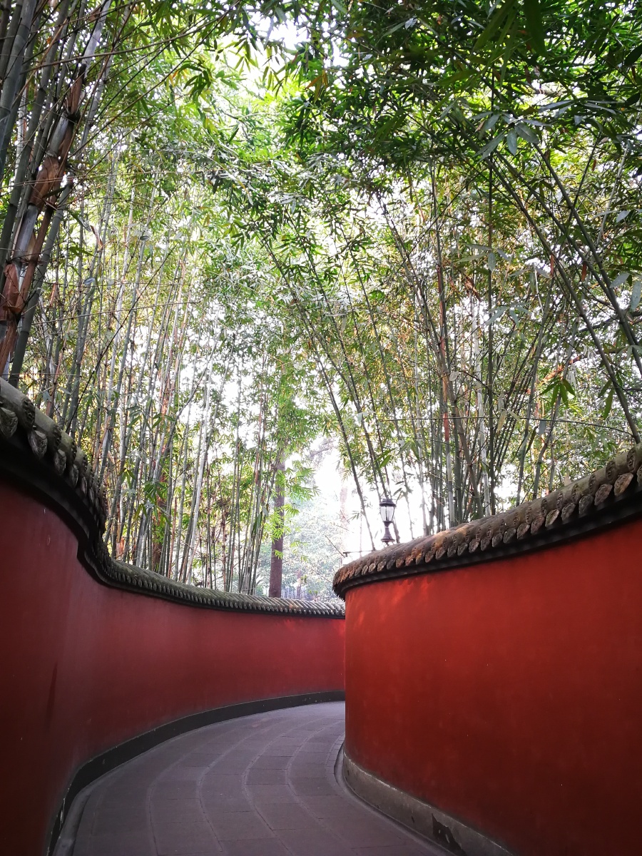 竹林掩映下的红墙武侯祠成都